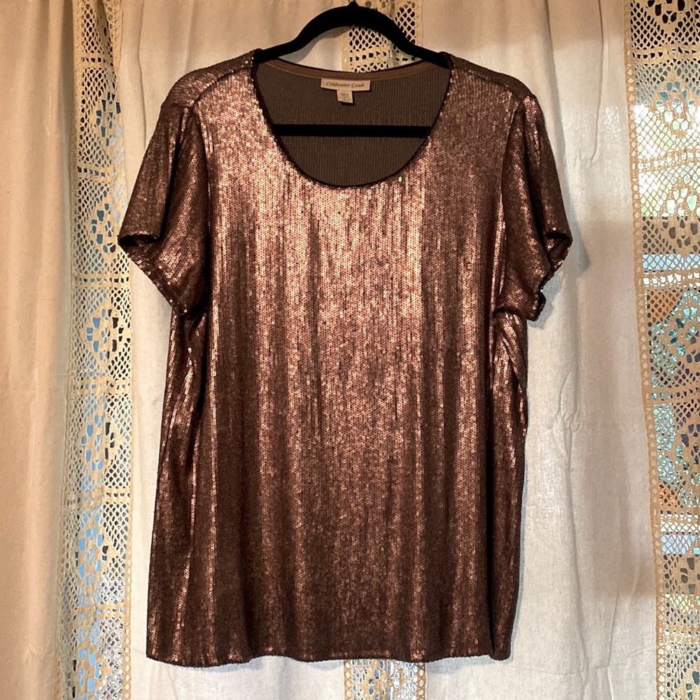 Coldwater Creek sequined blouse, L